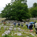 Irumagarrieta (504)